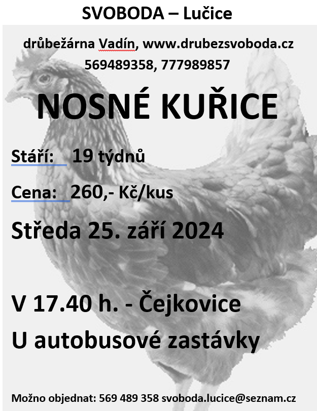 Snímek obrazovky 2024-09-16 162149.png