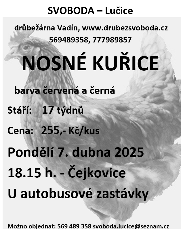 Snímek obrazovky 2025-03-25 082152.png